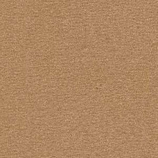 Ковролин Radici Nexus Gazzella 8203 фото 1 | FLOORDEALER